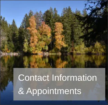 Contact information, appointments, fees