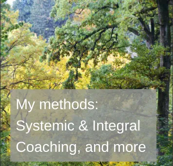 What is Systemic Coaching - methods, models, inspirations